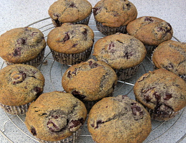 Dieses Wochenende: Kirsch-Mohn-Muffins - Strickforum Blog