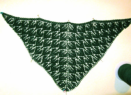 Spring Thaw Shawl