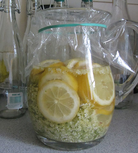 Ansatz für Holundersirup