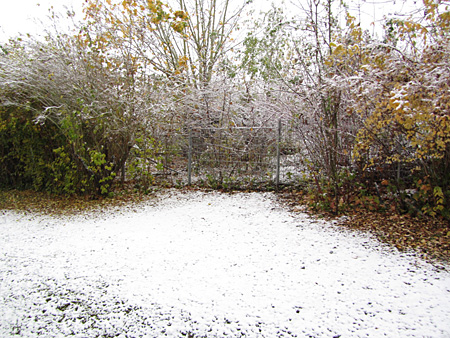 der erste Schnee