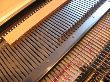 E-wrap und lange Maschen 1_Bildgröße ändern.JPG