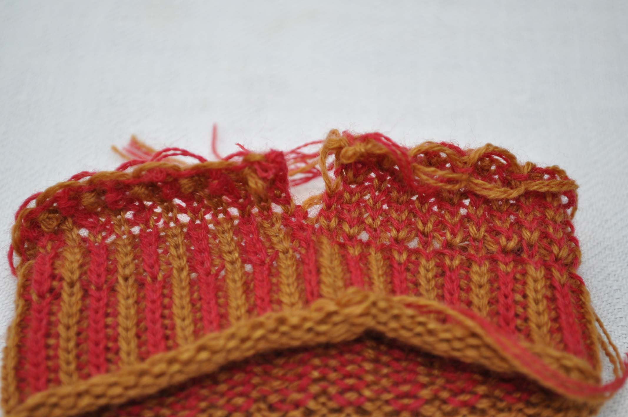 DSC_0549 Fangmuster.jpg