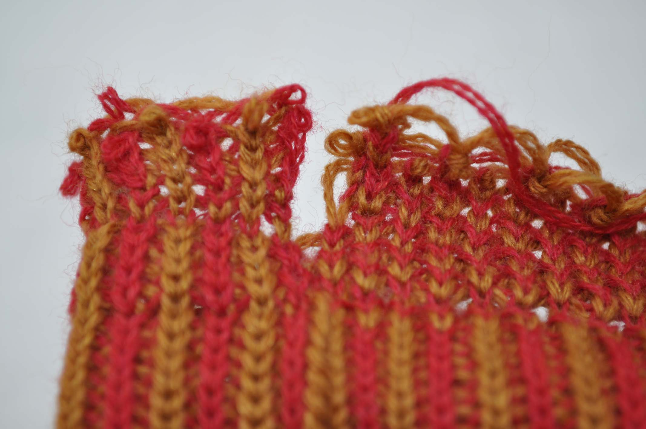 DSC_0550 Fangmuster.jpg