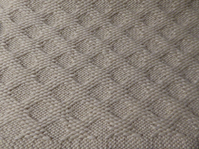 P1020555.JPG