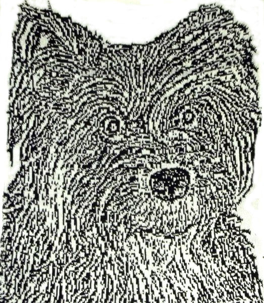 feli 002b.jpg