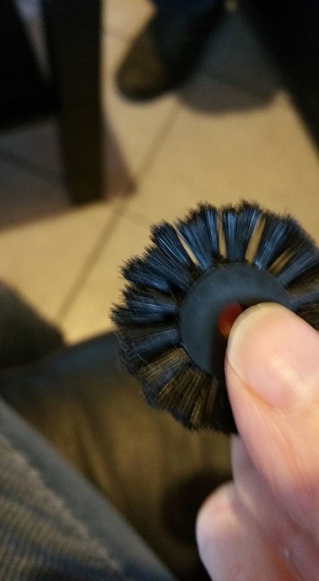 12118826_1044316472267460_8616694142275942746_n (352x640).jpg