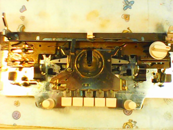 IMG0361A.jpg