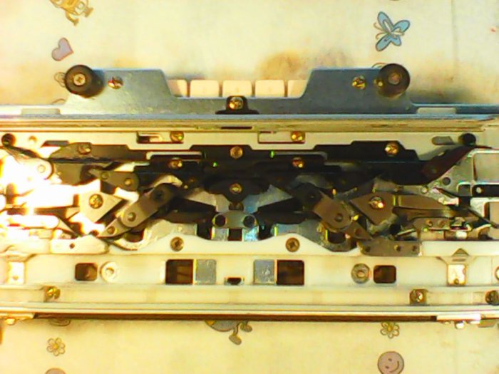 IMG0364A.jpg