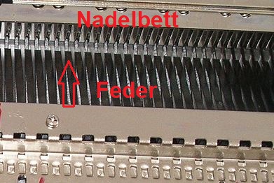 Feder.JPG