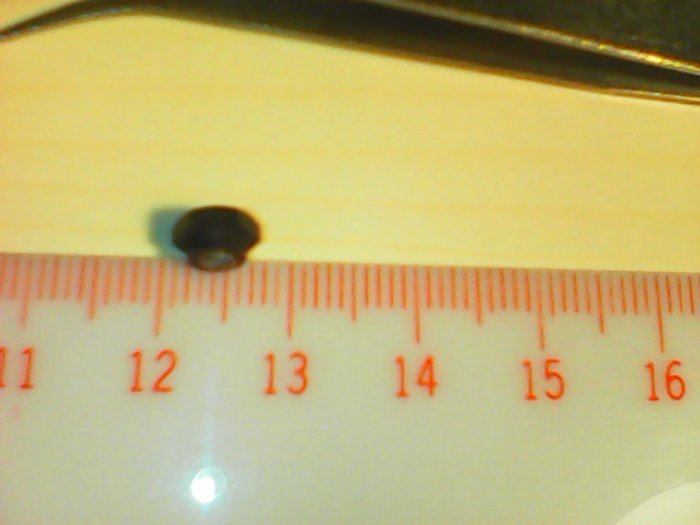 IMG0420A.jpg