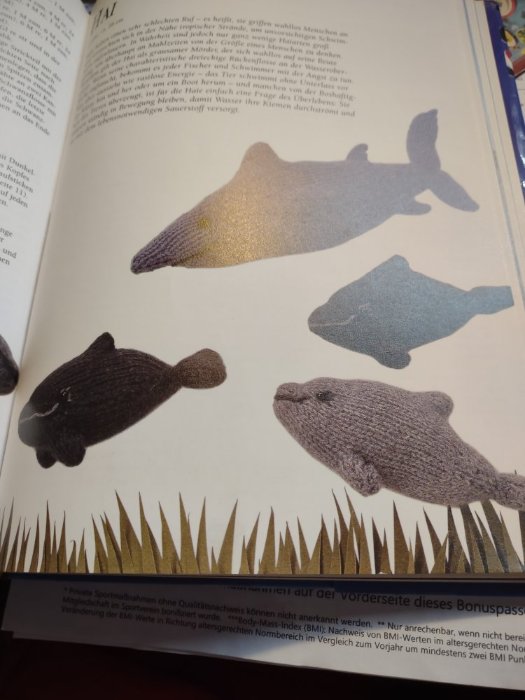 Aus dem Buch"Kuscheltiere stricken" von Kath Dalmeny Verlag Bechtermünz