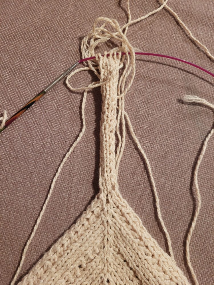 WhatsApp Image 2026-02-01 at 19.46.05.jpeg