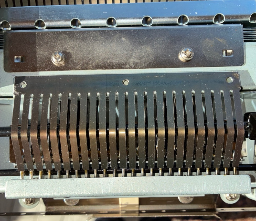 Groß (IMG_0468).jpeg