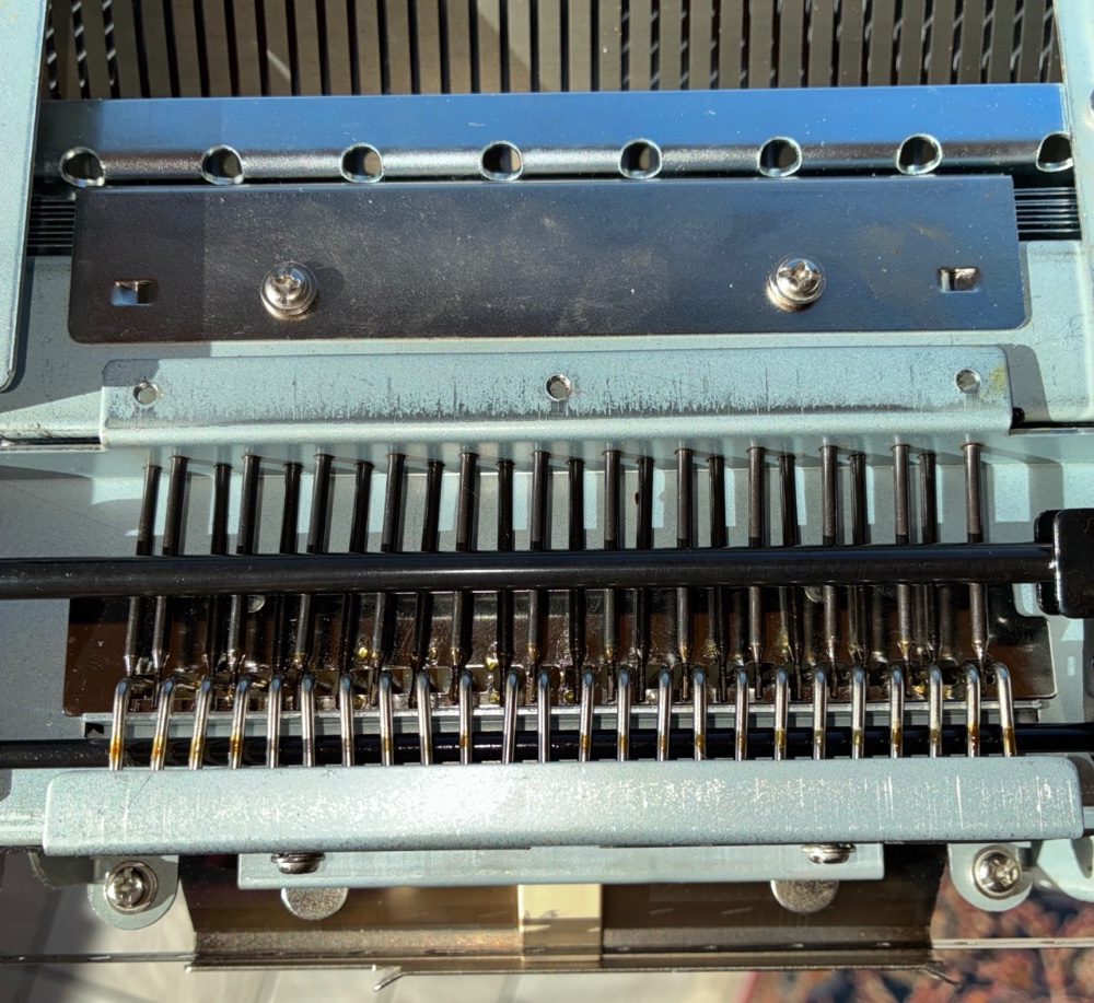 Groß (IMG_0467).jpeg