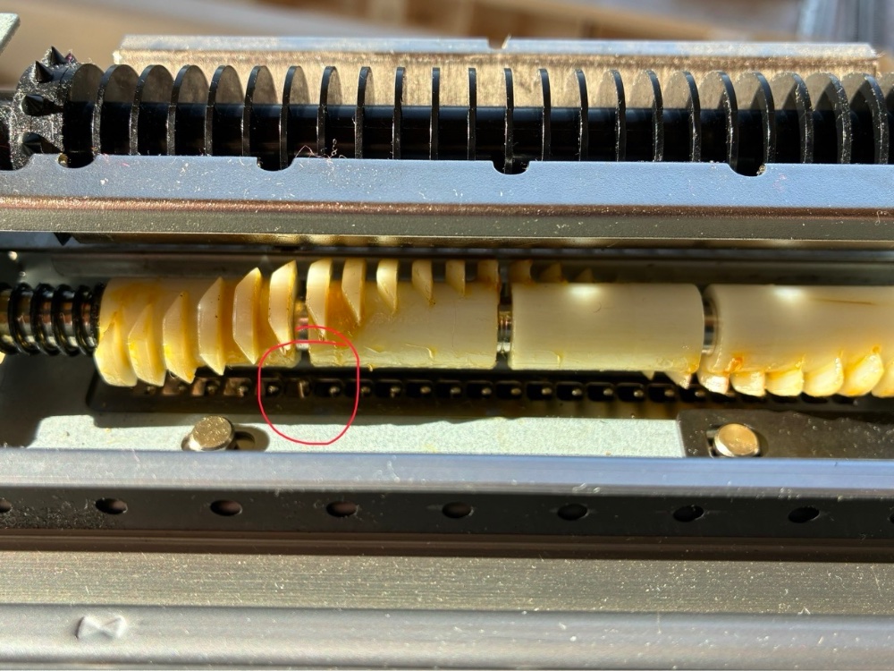 Groß (IMG_0471).jpeg