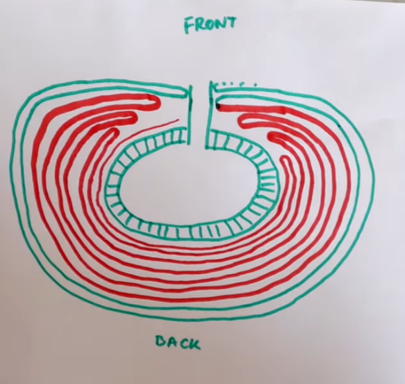 Screenshot 2026-04-13 at 08-16-49 Verkürzte Reihen Warum Wo Wann Wie - YouTube.png